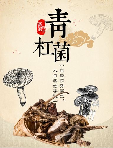 旅行社代理招徠,委托社為西行